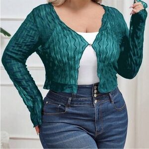 Teal Sheer Long Sleeve Cardigan